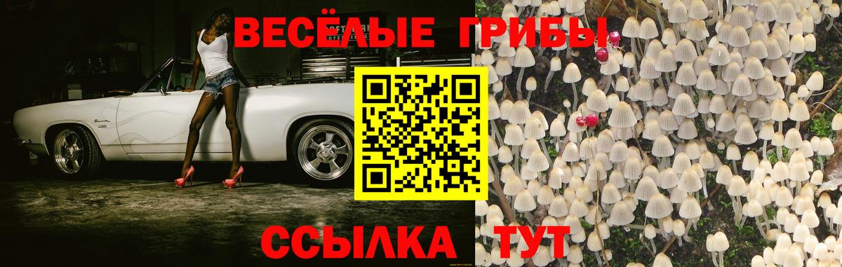 Псилоцибиновые грибы Magic Shrooms  Вход с VPN  Псилоцибиновые грибы прущие грибы  Алексеевка 