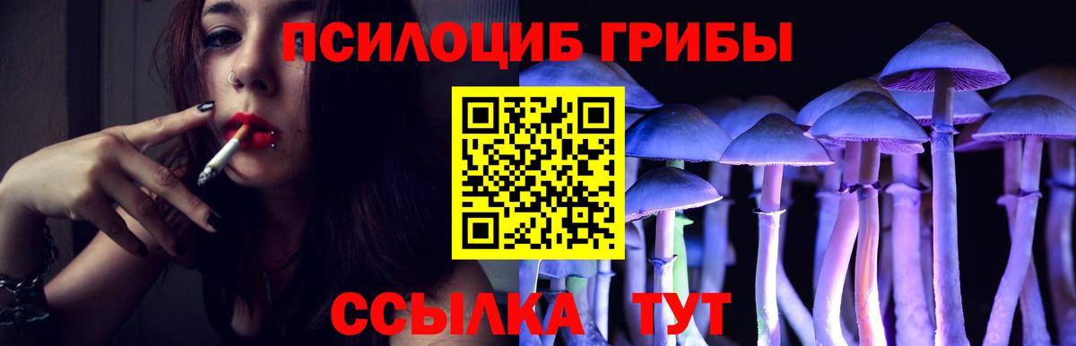 Галлюциногенные грибы MAGIC MUSHROOMS Алексеевка